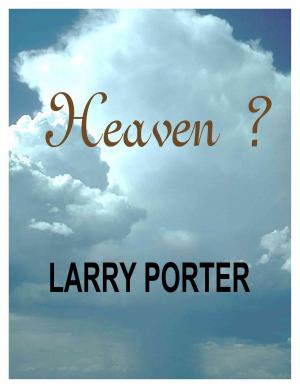 Cover of the book Heaven ? by Vera Lúcia Marinzeck de Carvalho