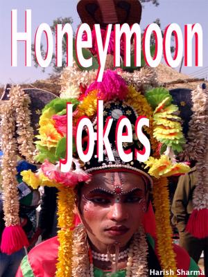Book cover of Honeymoon Jokes