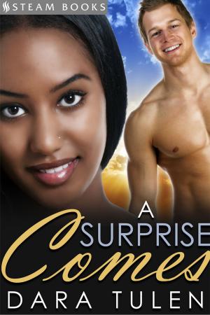 Cover of the book A Surprise Comes by Jolie James, Steam Books