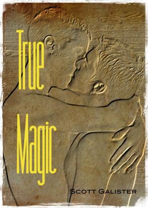 Cover of the book True Magic by Emily Weber