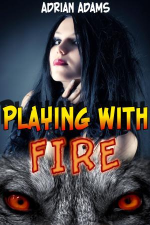 Cover of the book Playing with Fire by Moxie North