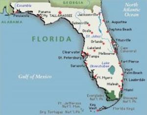 Cover of Bankruptcy In Florida