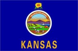Cover of Bankruptcy In Kansas