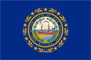 Cover of Bankruptcy In New Hampshire