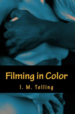 Book cover of Filming in Color