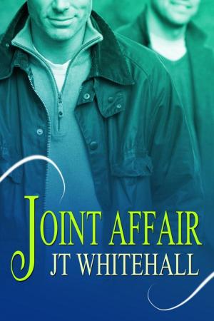 bigCover of the book Joint Affair by 