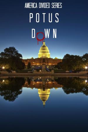 Cover of the book Potus Down – Book One by Dean Clark, Janika Hoffmann, Karl Taylor, Celenic Earth Publications, Shaun Jooste