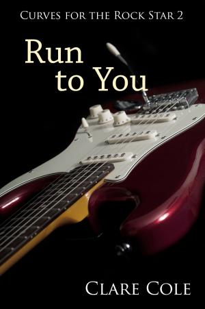 Cover of the book Run to You by Vim Brioni