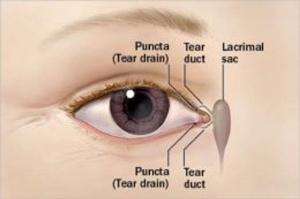 Cover of the book Blocked Tear Duct: Causes, Symptoms and Treatments by Sean O'Byrne