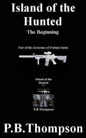 Cover of the book The Beginning by P.B.Thompson