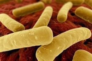 Cover of C. Difficile: Causes, Symptoms and Treatments