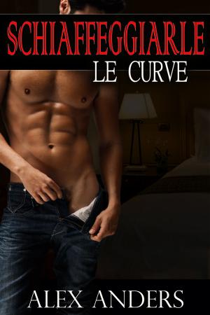 Book cover of Schiaffeggiarle le Curve