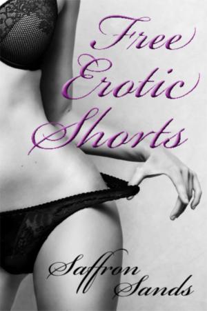 Cover of the book Free Erotic Shorts by Nikki Shannen