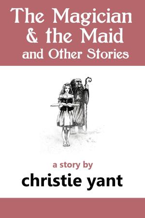 Book cover of The Magician and the Maid and Other Stories