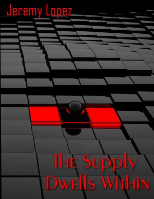 Cover of the book The Supply Dwells Within: The Power of Success Within by Jeremy Lopez