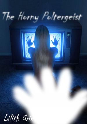 Cover of the book The Horny Poltergeist by Thang Nguyen