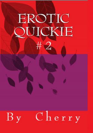 Cover of Erotic Quickie #2