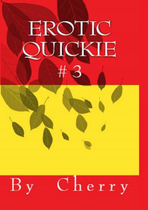 Cover of Erotic Quickie #3