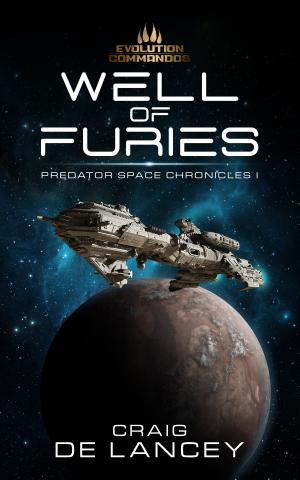 Cover of the book Well of Furies by Matthew Holley