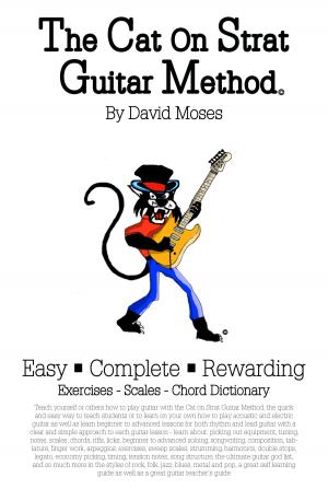 Book cover of The Cat On Strat Guitar Method