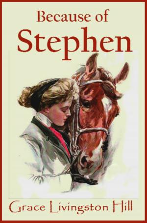 bigCover of the book Because of Stephen by 