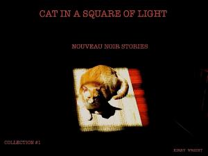 Cover of the book CAT IN A SQUARE OF LIGHT by Ruth Nestvold