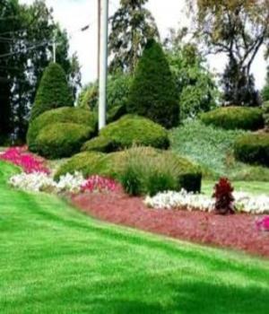 bigCover of the book Do It Yourself Landscaping: Simple Fixes That Will Transform Your Yard by 