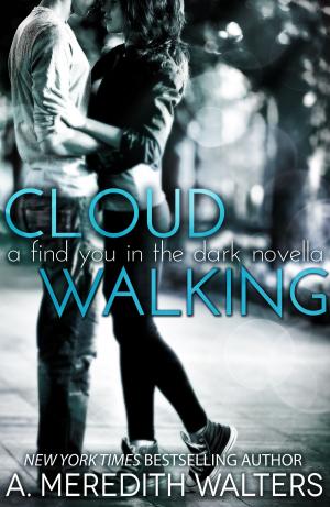 Cover of the book Cloud Walking (A Find You in the Dark novella) by Marcy Kennedy