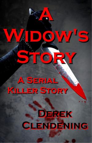 Cover of the book A Widow's Story by Donovan Starr