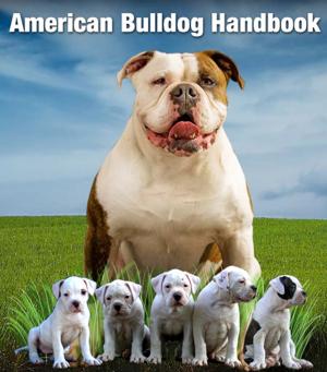 bigCover of the book American Bulldog Handbook by 