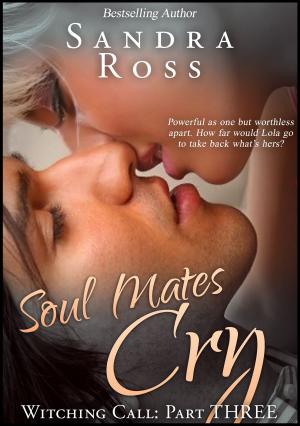 bigCover of the book Witching Call Part 3 : Soul Mates Cry by 