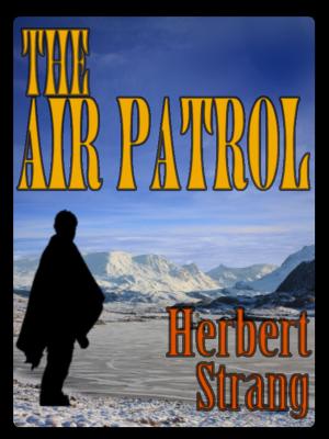 Book cover of THE AIR PATROL with Colorful Illustrations