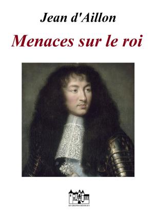 Book cover of Menaces sur le roi