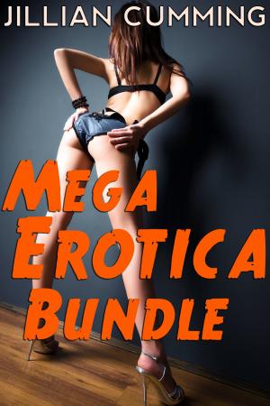 Book cover of Mega Erotica Bundle: 27 Steamy Stories