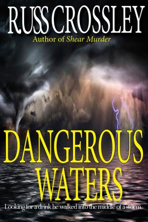 Cover of the book Dangerous Waters by Rita Schulz