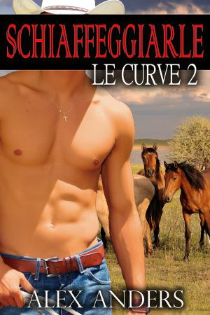 Cover of Schiaffeggiarle le Curve 2