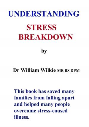 Book cover of UNDERSTANDING STRESS BREAKDOWN