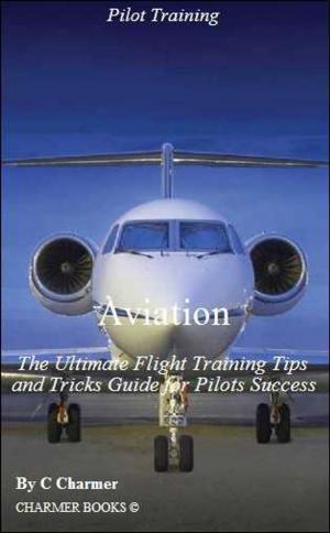 Book cover of Aviation: The Ultimate Flight Training Tips & Tricks eBook Guide for Pilots Success