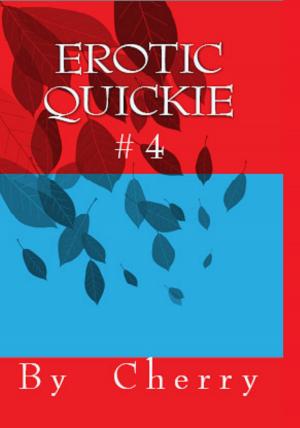 Cover of Erotic Quickie #4