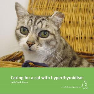 Book cover of Caring for a cat with hyperthyroidism