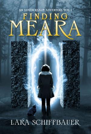Book cover of Finding Meara