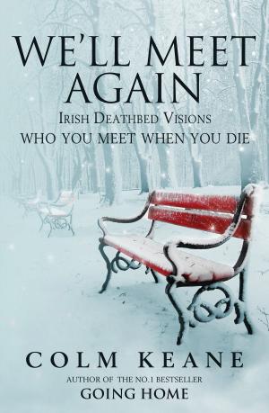 Cover of the book We'll Meet Again by Annie Matan, Peter  Newman