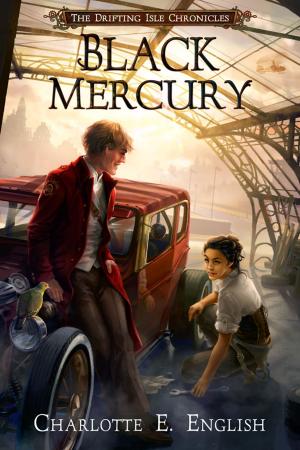 Cover of the book Black Mercury by Nancy Straight