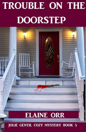 Book cover of Trouble on the Doorstep