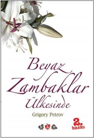 Cover of the book Beyaz Zambaklar Ülkesinde by Ahmet Efe