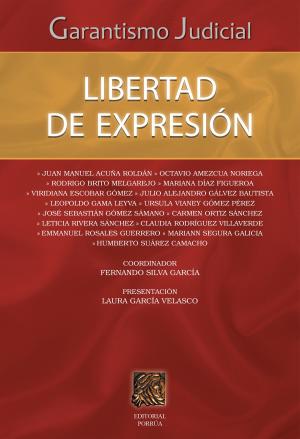 Cover of the book Garantismo judicial: Libertad de expresión by Javier Malpica