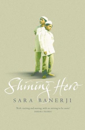 Book cover of Shining Hero