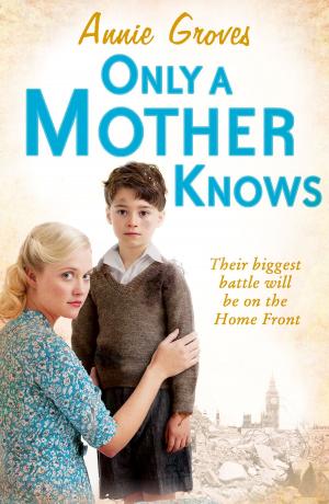 Cover of the book Only a Mother Knows by Tama Janowitz