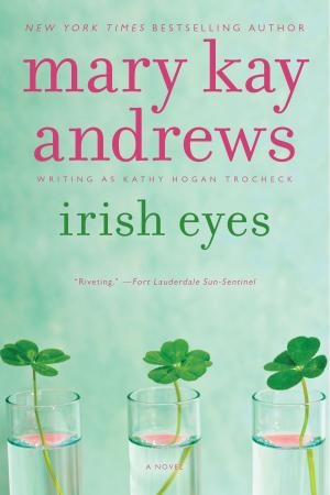 Cover of the book Irish Eyes by Anna Randol