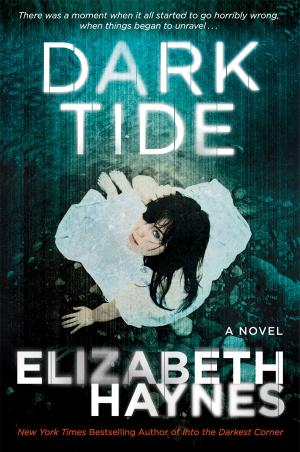 Cover of the book Dark Tide by Bernard Cornwell